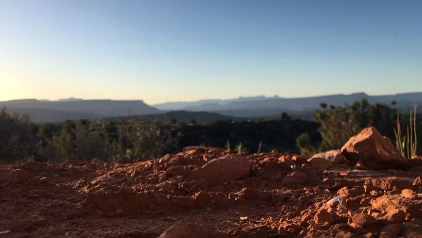 WhatsApp Video 2018-12-17 at 1.17.43 PM_Moment.jpg